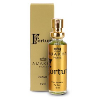 Kit 12 Perfumes Importados de Bolso 15 ml